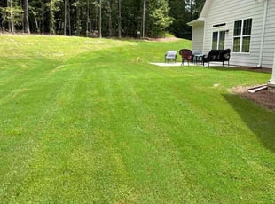 Leslie N.'s turf care service result