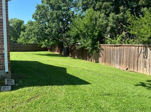Jason A.'s turf maintenance service result