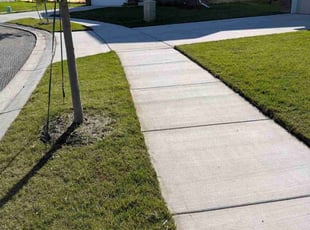 Carl D.'s lawn care services service result