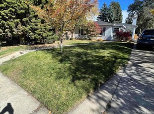 Will T.'s turf care service result