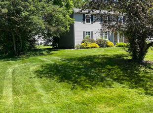 Juan G.'s lawn care service result