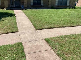 Connie L.'s yard care service result