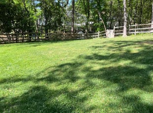 Yasha S.'s grass maintenance service result