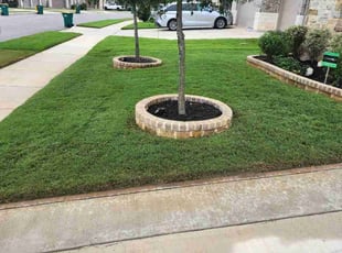 Alphonso T.'s yard work service result