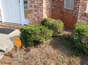 C R.'s Bush Trimming service result