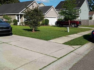 Darren S.'s lawn care services service result