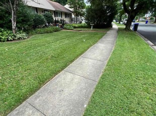 Trish B.'s lawn maintenance service result