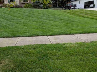 Jacob P.'s lawn care services service result