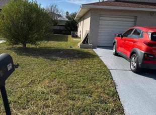 Marcel C.'s lawn care service result