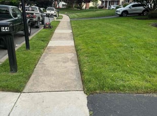 Tupu P.'s turf care service result