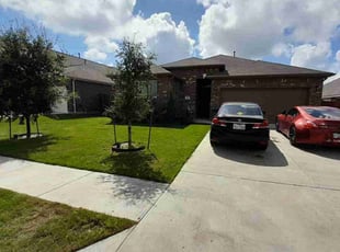 Alejandro I.'s lawn care service result