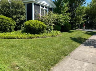 Jody S.'s grass cutting service result