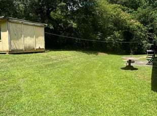 Letchas C.'s yard work service result