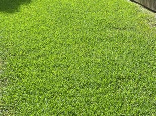 Joann C.'s lawn maintenance service result