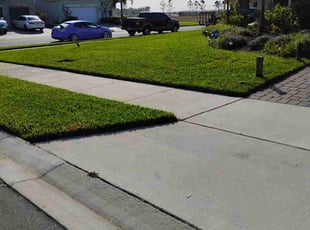 Michael L.'s turf care service result