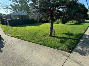 Chris M.'s lawn care service result