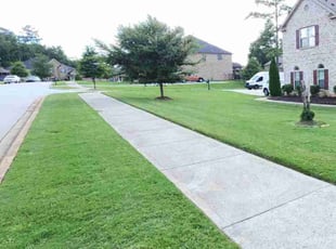 Loretta B.'s turf care service result