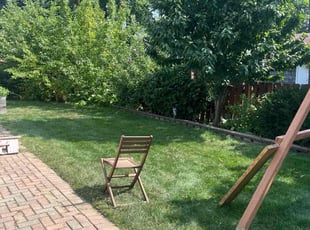 Sharisse J.'s turf care service result