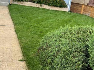 Bobby G.'s lawn care services service result