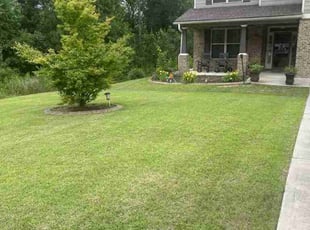 Raymond J.'s lawn care service result