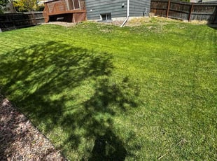 Loretta B.'s lawn maintenance service result