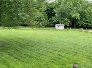 David A.'s landscaping services service result