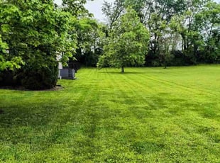 Brandon L.'s grass cutting service result