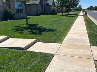Katherine M.'s turf care service result
