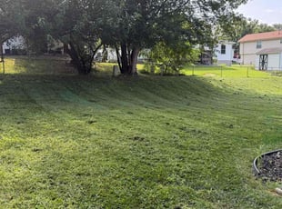 Kim H.'s Long Grass Cleanup service result