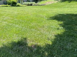 Robert H.'s lawn care service result