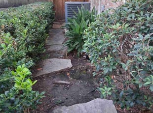 Tommy H.'s turf maintenance service result