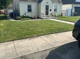 Linda G.'s lawn care service result