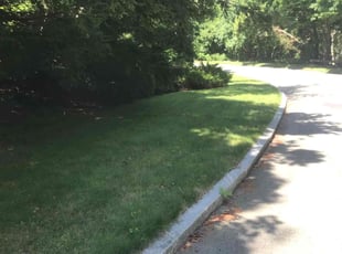 Eddy W.'s lawn service service result