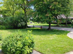 James W.'s turf care service result