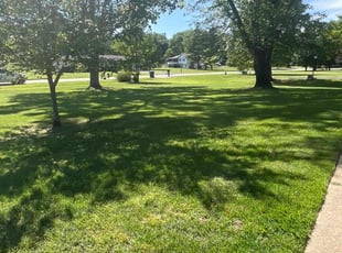 Eryq S.'s lawn maintenance service result