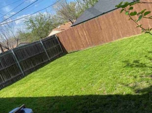 Malaya C.'s lawn service service result