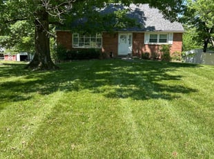 David R.'s turf care service result