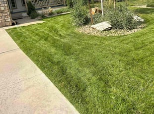 Teresa S.'s lawn service service result