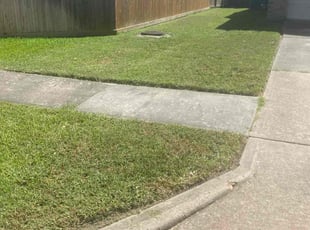 Eric K.'s lawn care services service result