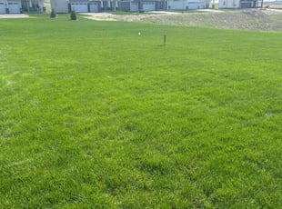 Pamela W.'s lawn service service result