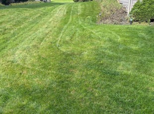 Kyndrea K.'s landscaping services service result