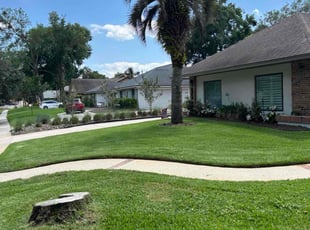 Brad B.'s grass maintenance service result