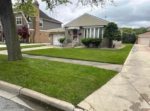 Shada T.'s grass maintenance service result