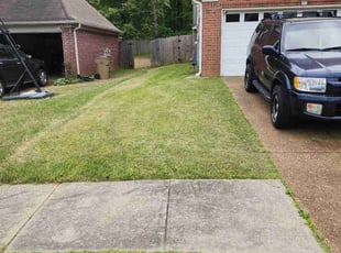 Kathryn M.'s turf maintenance service result