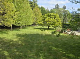 Darrell W.'s lawn care service result