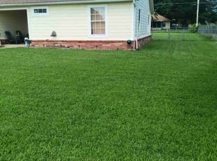 Lisa E.'s grass maintenance service result