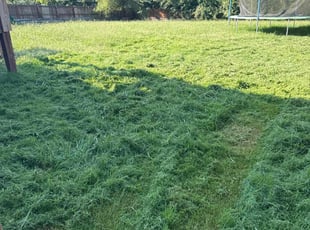 Sarah L.'s lawn care services service result