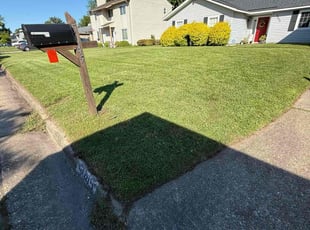 Edwin T.'s grass cutting service result