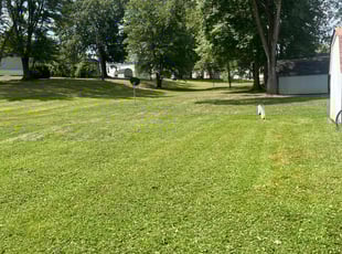 Jamie L.'s landscaping service result