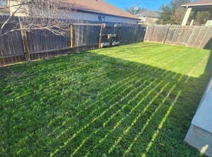 Varuna A.'s lawn care services service result